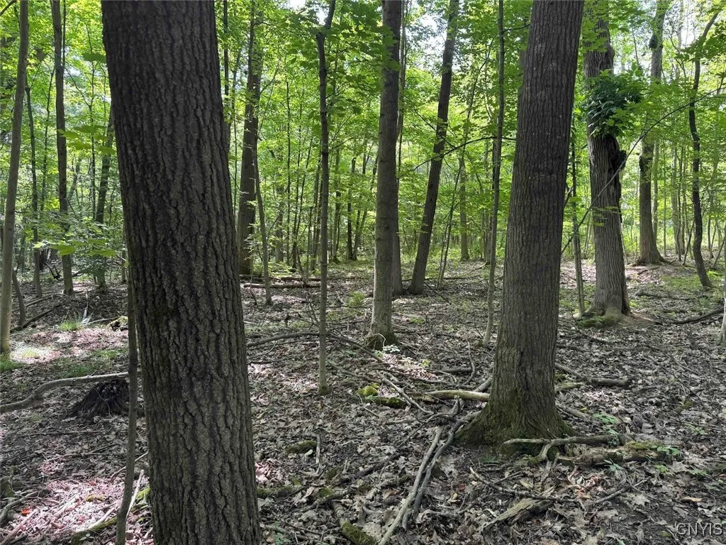 Green Road, Alfred, New York 14802, Alfred, New York 14802, ,Land,Closed,Green Road, Alfred, New York 14802,0,S1625105