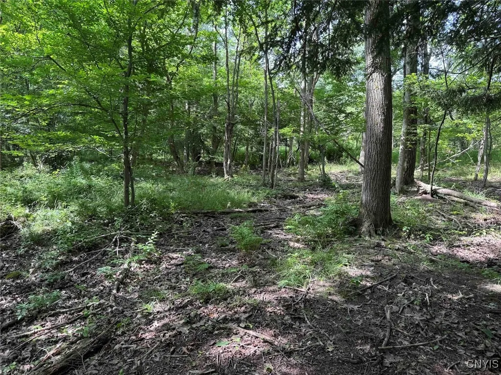 Green Road, Alfred, New York 14802, Alfred, New York 14802, ,Land,Closed,Green Road, Alfred, New York 14802,0,S1625105