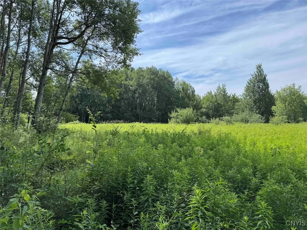 Green Road, Alfred, New York 14802, Alfred, New York 14802, ,Land,Closed,Green Road, Alfred, New York 14802,0,S1625105