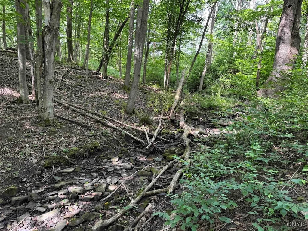 Green Road, Alfred, New York 14802, Alfred, New York 14802, ,Land,Closed,Green Road, Alfred, New York 14802,0,S1625105