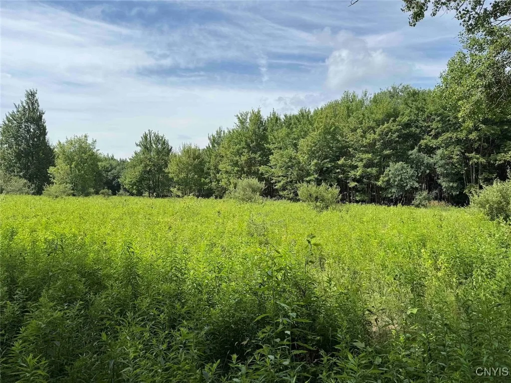Green Road, Alfred, New York 14802, Alfred, New York 14802, ,Land,Closed,Green Road, Alfred, New York 14802,0,S1625105