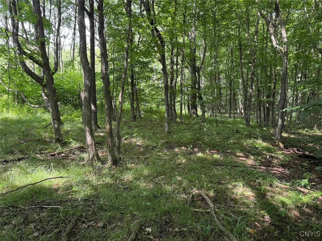 Green Road, Alfred, New York 14802, Alfred, New York 14802, ,Land,Closed,Green Road, Alfred, New York 14802,0,S1625105