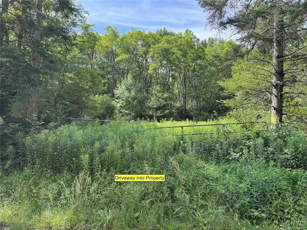 Green Road, Alfred, New York 14802, Alfred, New York 14802, ,Land,Closed,Green Road, Alfred, New York 14802,0,S1625105