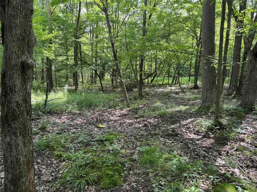 Green Road, Alfred, New York 14802, Alfred, New York 14802, ,Land,Closed,Green Road, Alfred, New York 14802,0,S1625105