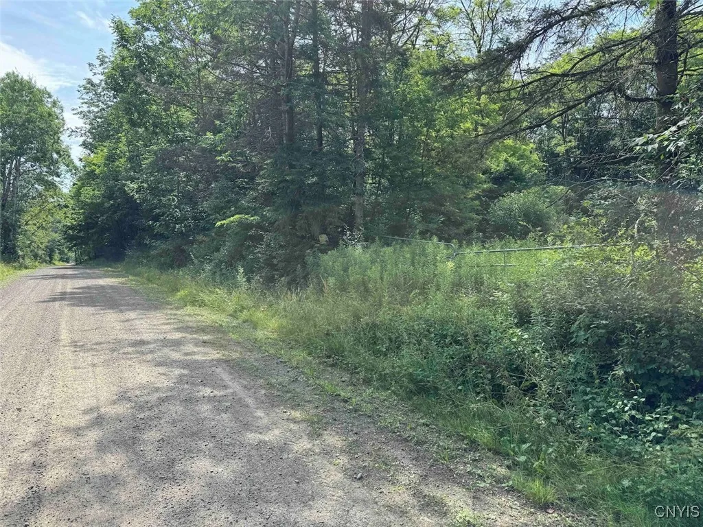 Green Road, Alfred, New York 14802, Alfred, New York 14802, ,Land,Closed,Green Road, Alfred, New York 14802,0,S1625105