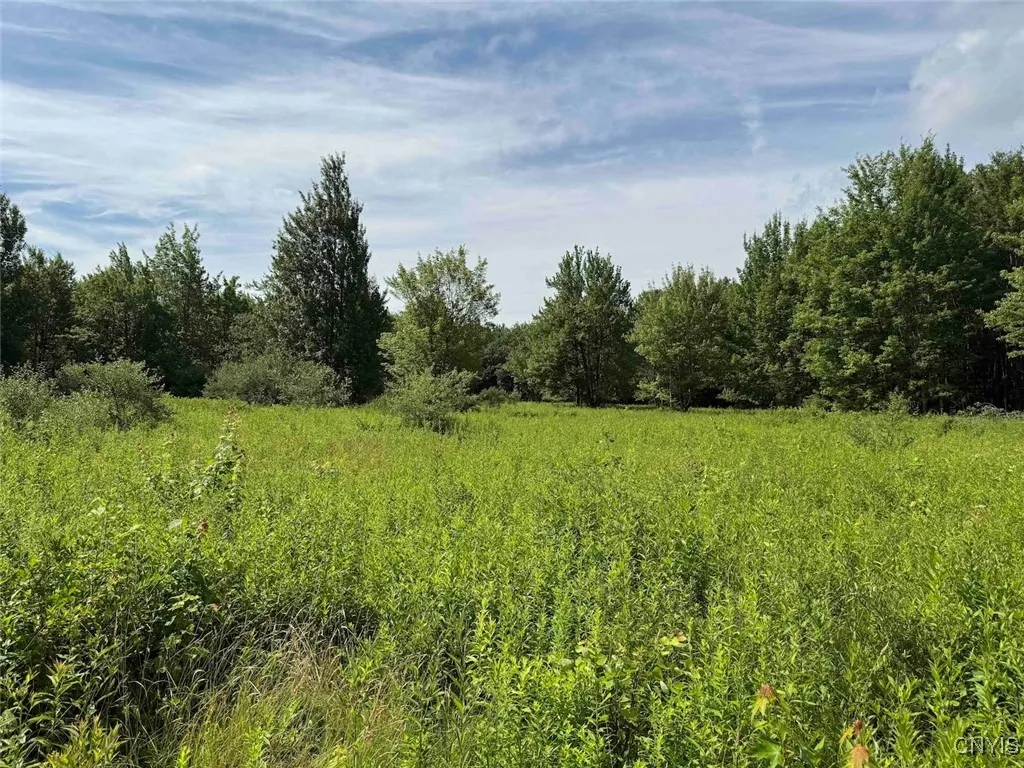 Green Road, Alfred, New York 14802, Alfred, New York 14802, ,Land,Closed,Green Road, Alfred, New York 14802,0,S1625105