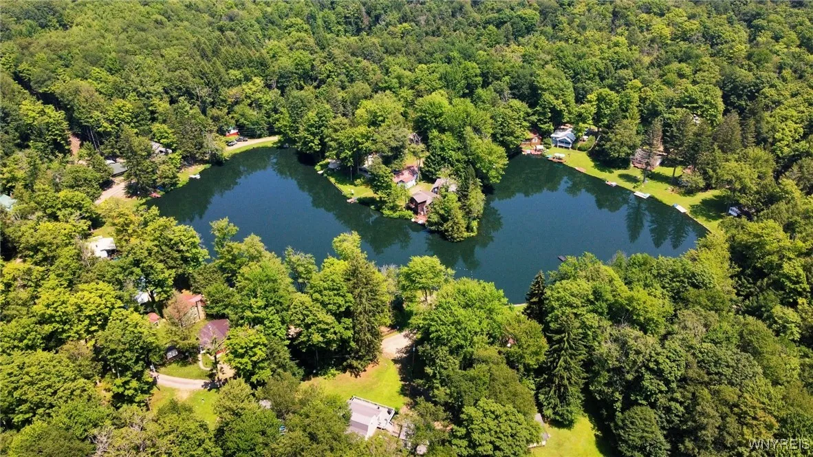 5419 Narrows Rod & Gun Club Road 21, Napoli, N, Napoli, New York 14755, 3 Bedrooms Bedrooms, 6 Rooms Rooms,2 BathroomsBathrooms,Residential,For Sale,5419 Narrows Rod & Gun Club Road 21, Napoli, N,B1623230