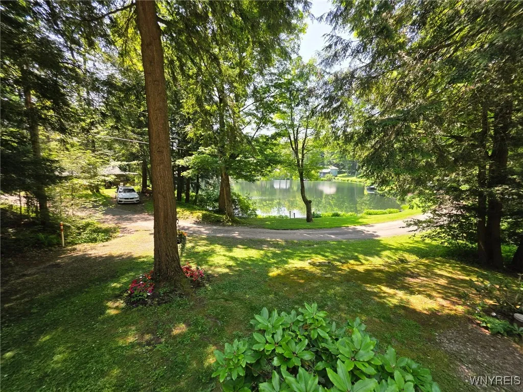 5419 Narrows Rod & Gun Club Road 21, Napoli, N, Napoli, New York 14755, 3 Bedrooms Bedrooms, 6 Rooms Rooms,2 BathroomsBathrooms,Residential,For Sale,5419 Narrows Rod & Gun Club Road 21, Napoli, N,B1623230
