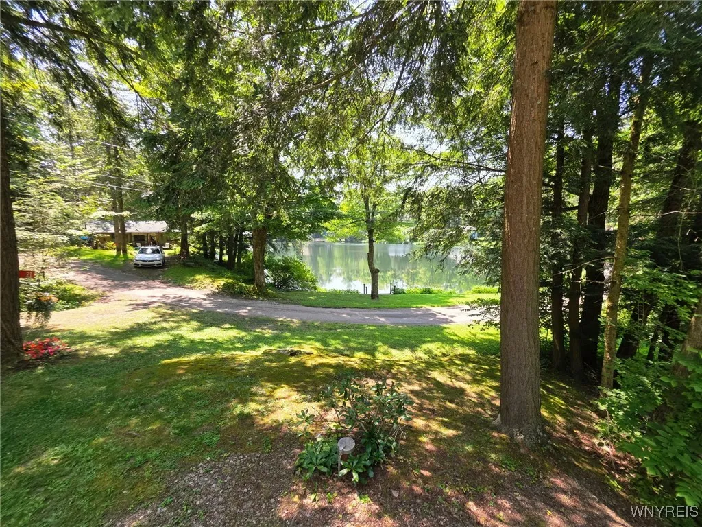 5419 Narrows Rod & Gun Club Road 21, Napoli, N, Napoli, New York 14755, 3 Bedrooms Bedrooms, 6 Rooms Rooms,2 BathroomsBathrooms,Residential,For Sale,5419 Narrows Rod & Gun Club Road 21, Napoli, N,B1623230