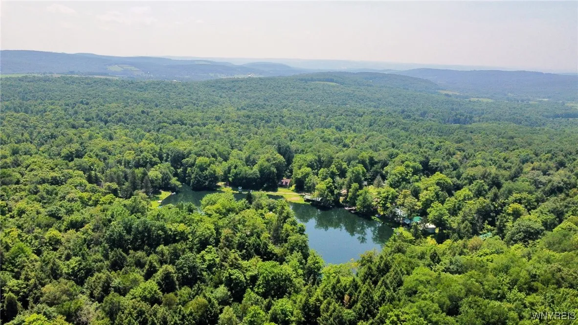 5419 Narrows Rod & Gun Club Road 21, Napoli, N, Napoli, New York 14755, 3 Bedrooms Bedrooms, 6 Rooms Rooms,2 BathroomsBathrooms,Residential,For Sale,5419 Narrows Rod & Gun Club Road 21, Napoli, N,B1623230