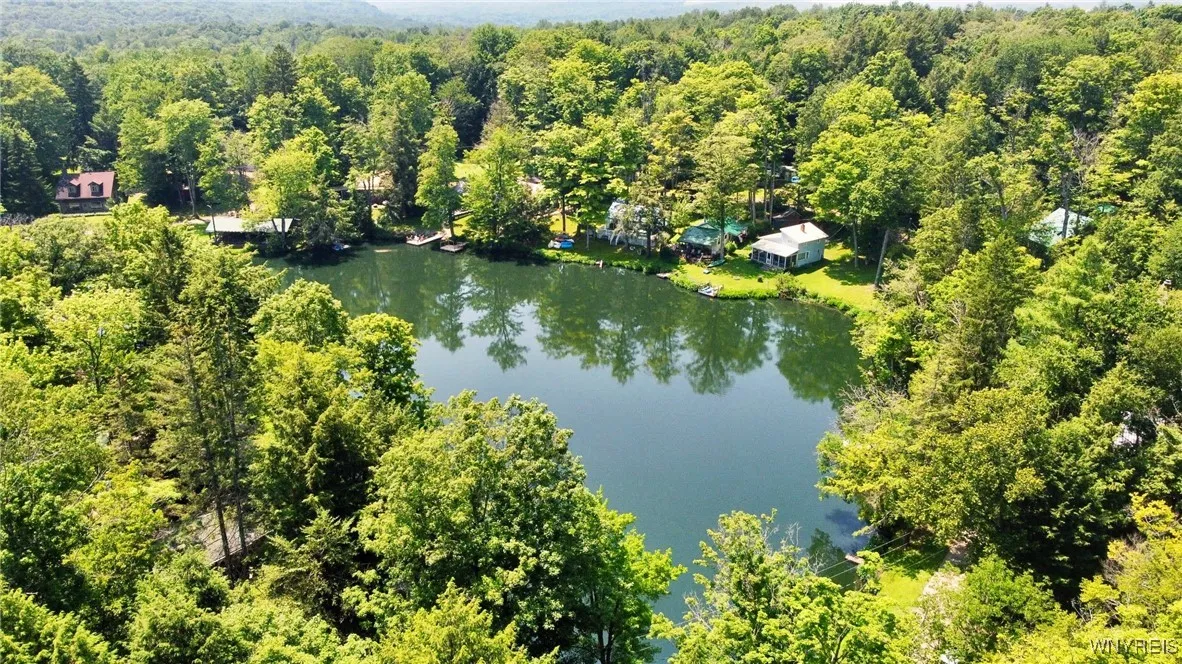 5419 Narrows Rod & Gun Club Road 21, Napoli, N, Napoli, New York 14755, 3 Bedrooms Bedrooms, 6 Rooms Rooms,2 BathroomsBathrooms,Residential,For Sale,5419 Narrows Rod & Gun Club Road 21, Napoli, N,B1623230
