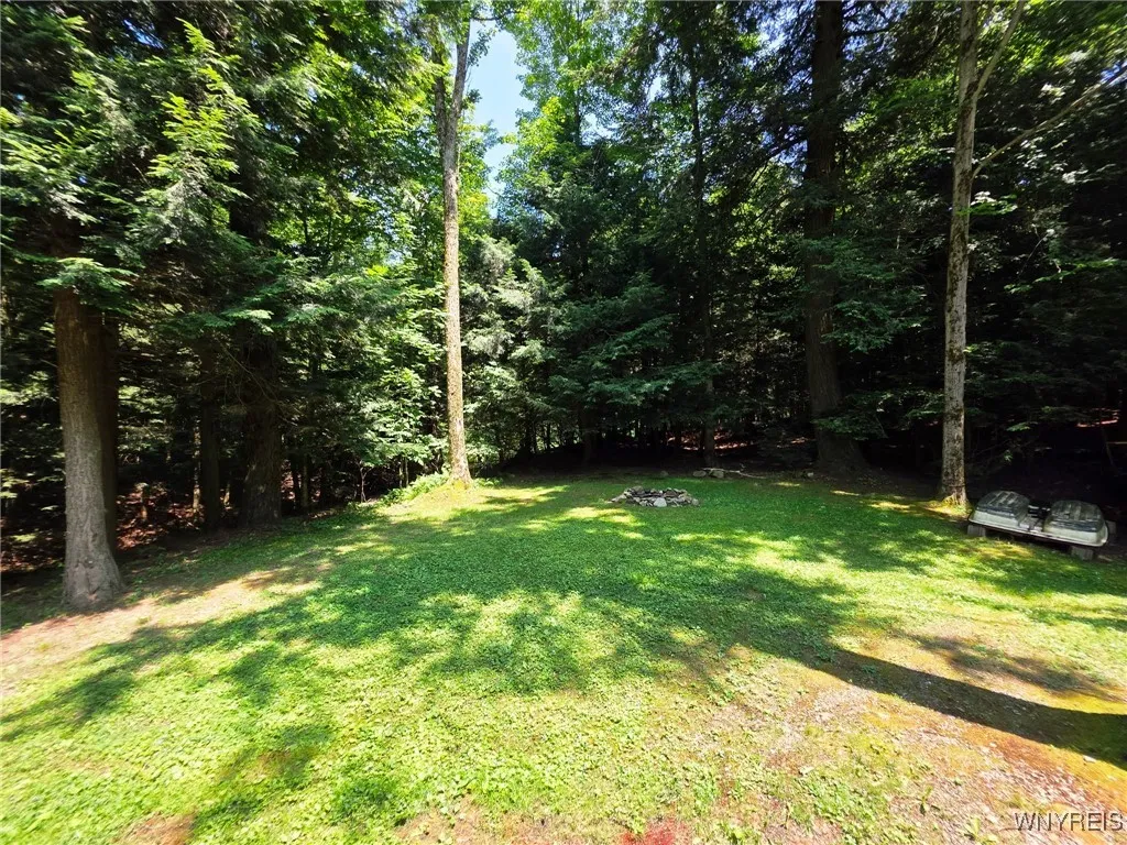 5419 Narrows Rod & Gun Club Road 21, Napoli, N, Napoli, New York 14755, 3 Bedrooms Bedrooms, 6 Rooms Rooms,2 BathroomsBathrooms,Residential,For Sale,5419 Narrows Rod & Gun Club Road 21, Napoli, N,B1623230