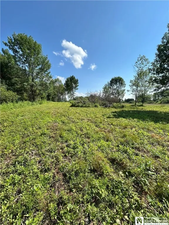 5350 Lowell Road, Pomfret, New York 14063, Pomfret, New York 14063, ,Commercial Sale,For Sale,5350 Lowell Road, Pomfret, New York 14063,R1625195