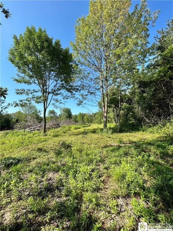5350 Lowell Road, Pomfret, New York 14063, Pomfret, New York 14063, ,Commercial Sale,For Sale,5350 Lowell Road, Pomfret, New York 14063,R1625195