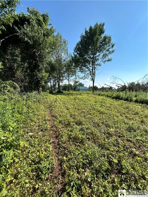 5350 Lowell Road, Pomfret, New York 14063, Pomfret, New York 14063, ,Commercial Sale,For Sale,5350 Lowell Road, Pomfret, New York 14063,R1625195