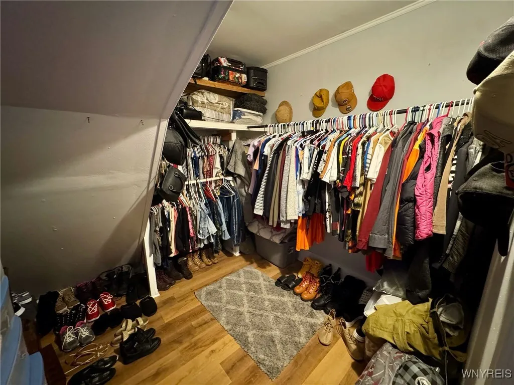 Downstairs Bedroom Closet