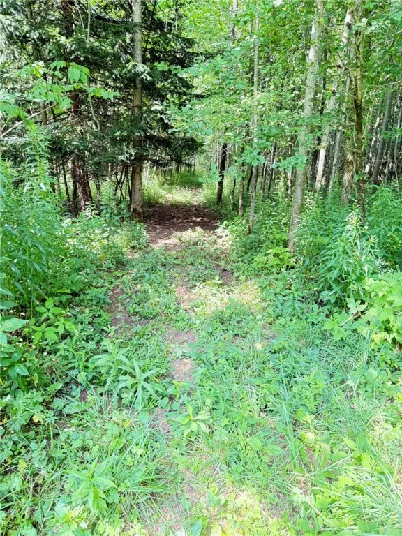 513 Halbert Hill Road, Butternuts, New York 13776, Butternuts, New York 13776, 2 Bedrooms Bedrooms, 6 Rooms Rooms,1 BathroomBathrooms,Residential,For Sale,513 Halbert Hill Road, Butternuts, New York 13776,0,R1625225