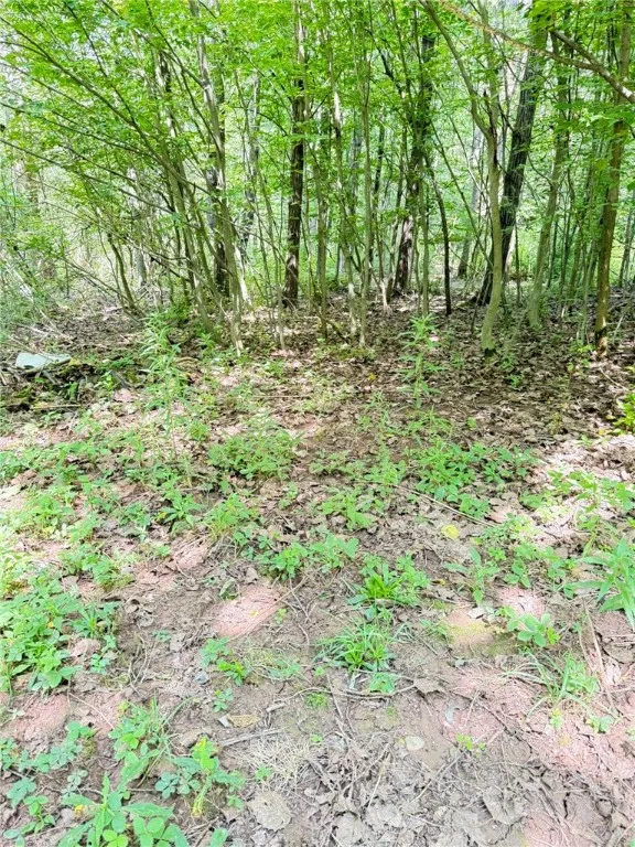 513 Halbert Hill Road, Butternuts, New York 13776, Butternuts, New York 13776, 2 Bedrooms Bedrooms, 6 Rooms Rooms,1 BathroomBathrooms,Residential,For Sale,513 Halbert Hill Road, Butternuts, New York 13776,0,R1625225
