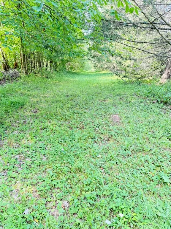 513 Halbert Hill Road, Butternuts, New York 13776, Butternuts, New York 13776, 2 Bedrooms Bedrooms, 6 Rooms Rooms,1 BathroomBathrooms,Residential,For Sale,513 Halbert Hill Road, Butternuts, New York 13776,0,R1625225