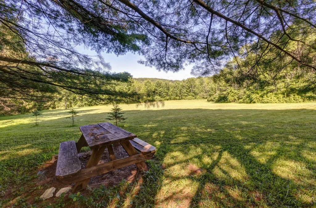 513 Halbert Hill Road, Butternuts, New York 13776, Butternuts, New York 13776, 2 Bedrooms Bedrooms, 6 Rooms Rooms,1 BathroomBathrooms,Residential,For Sale,513 Halbert Hill Road, Butternuts, New York 13776,0,R1625225