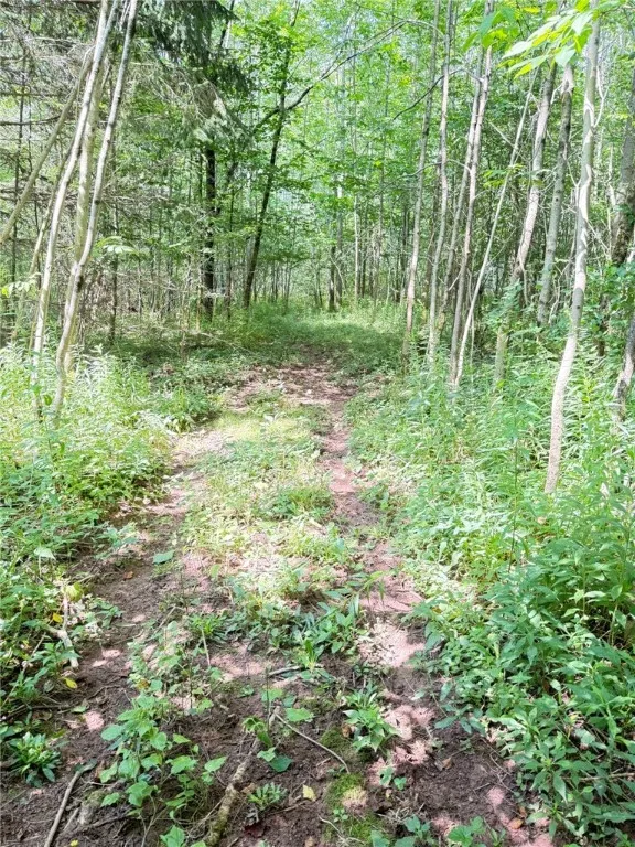 513 Halbert Hill Road, Butternuts, New York 13776, Butternuts, New York 13776, 2 Bedrooms Bedrooms, 6 Rooms Rooms,1 BathroomBathrooms,Residential,For Sale,513 Halbert Hill Road, Butternuts, New York 13776,0,R1625225