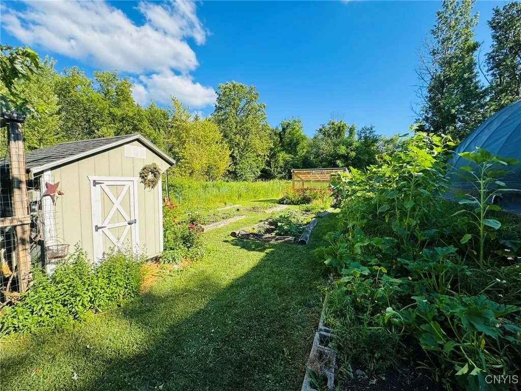 Garden and Garden Shed