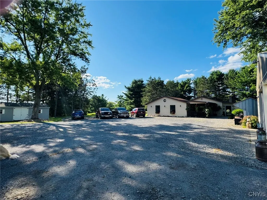 Driveway View