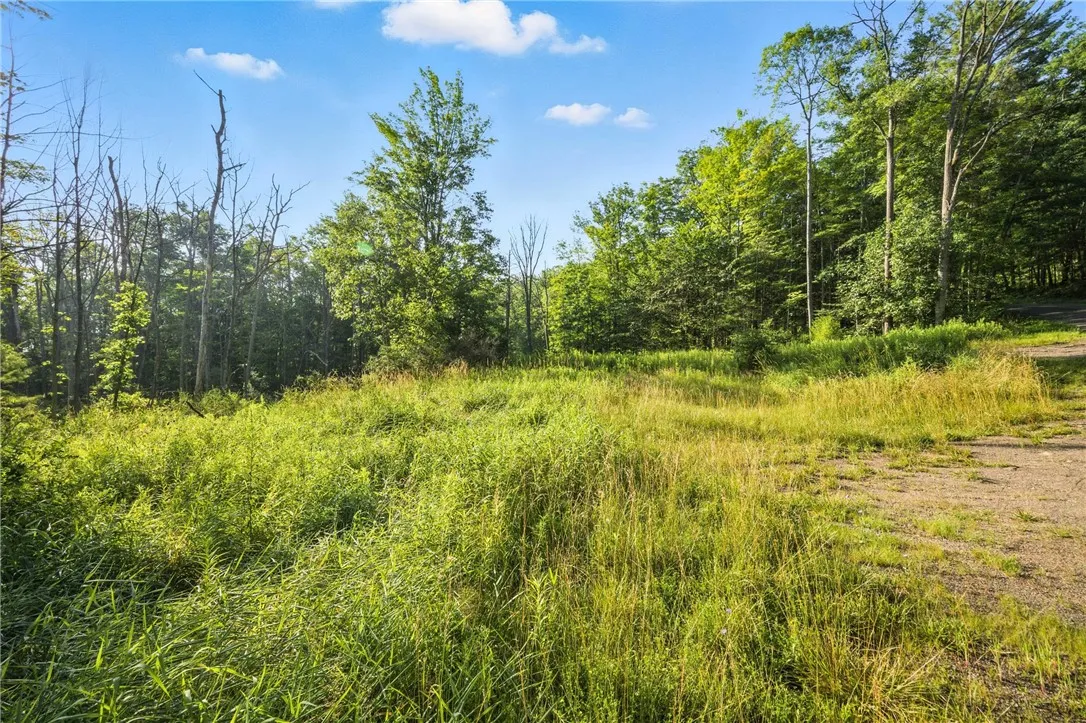 Davis Road, Corning, New York 14830, Corning, New York 14830, ,Land,Closed,Davis Road, Corning, New York 14830,0,R1625168