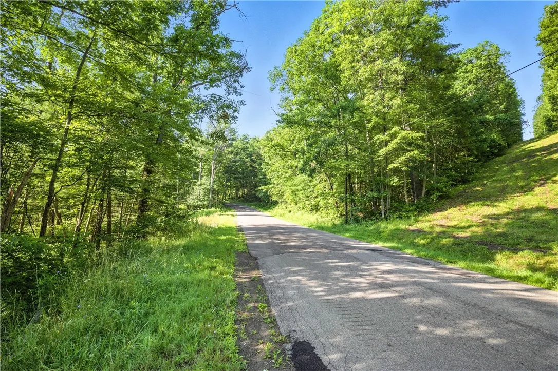 Davis Road, Corning, New York 14830, Corning, New York 14830, ,Land,Closed,Davis Road, Corning, New York 14830,0,R1625168