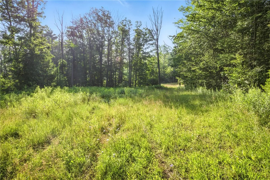 Davis Road, Corning, New York 14830, Corning, New York 14830, ,Land,Closed,Davis Road, Corning, New York 14830,0,R1625168