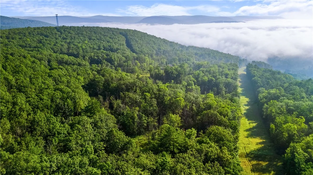 Davis Road, Corning, New York 14830, Corning, New York 14830, ,Land,Closed,Davis Road, Corning, New York 14830,0,R1625168