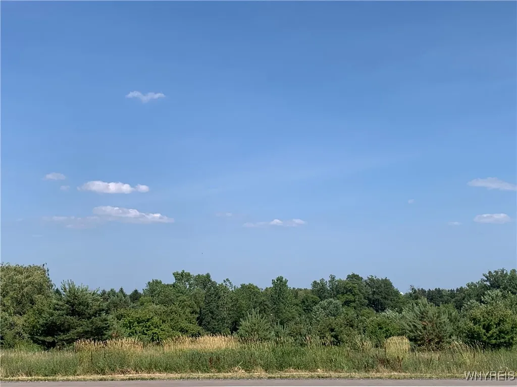 Vl Milestrip Road, Elma, New York 14127, Elma, New York 14127, ,Land,Closed,Vl Milestrip Road, Elma, New York 14127,0,B1624656