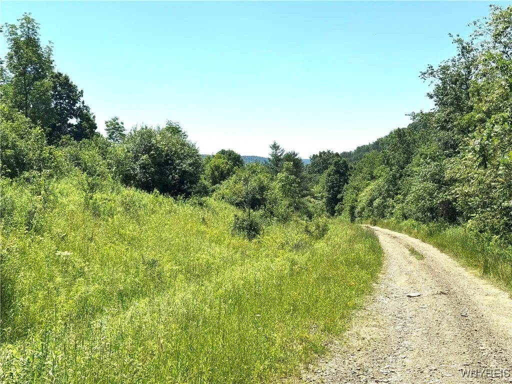 Gile Hollow Road, Hinsdale, New York 14743, Hinsdale, New York 14743, ,Land,For Sale,Gile Hollow Road, Hinsdale, New York 14743,0,B1625349