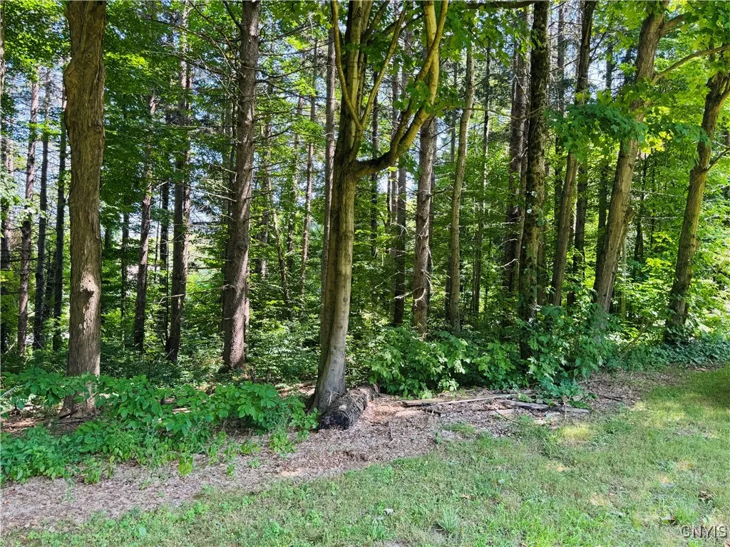 393 County Route 35, Palermo, New York 13069, Palermo, New York 13069, 3 Bedrooms Bedrooms, 6 Rooms Rooms,2 BathroomsBathrooms,Residential,For Sale,393 County Route 35, Palermo, New York 13069,S1624796