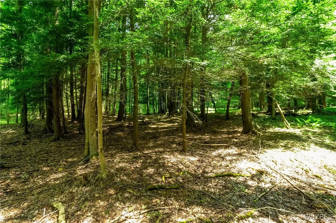 4456 Courtney Highland Drive, Great Valley, New Yo, Great Valley, New York 14741, 1 Bedroom Bedrooms, ,Land,For Sale,4456 Courtney Highland Drive, Great Valley, New Yo,B1625269
