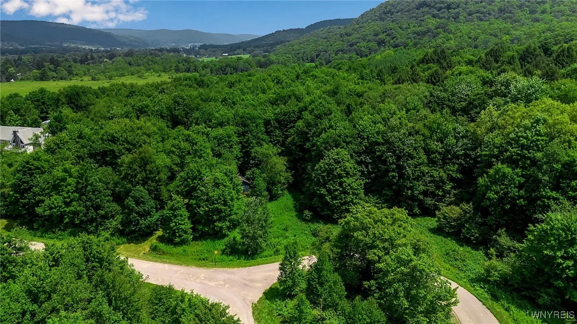 4456 Courtney Highland Drive, Great Valley, New Yo, Great Valley, New York 14741, 1 Bedroom Bedrooms, ,Land,For Sale,4456 Courtney Highland Drive, Great Valley, New Yo,B1625269