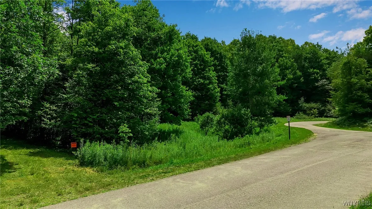4456 Courtney Highland Drive, Great Valley, New Yo, Great Valley, New York 14741, 1 Bedroom Bedrooms, ,Land,For Sale,4456 Courtney Highland Drive, Great Valley, New Yo,B1625269