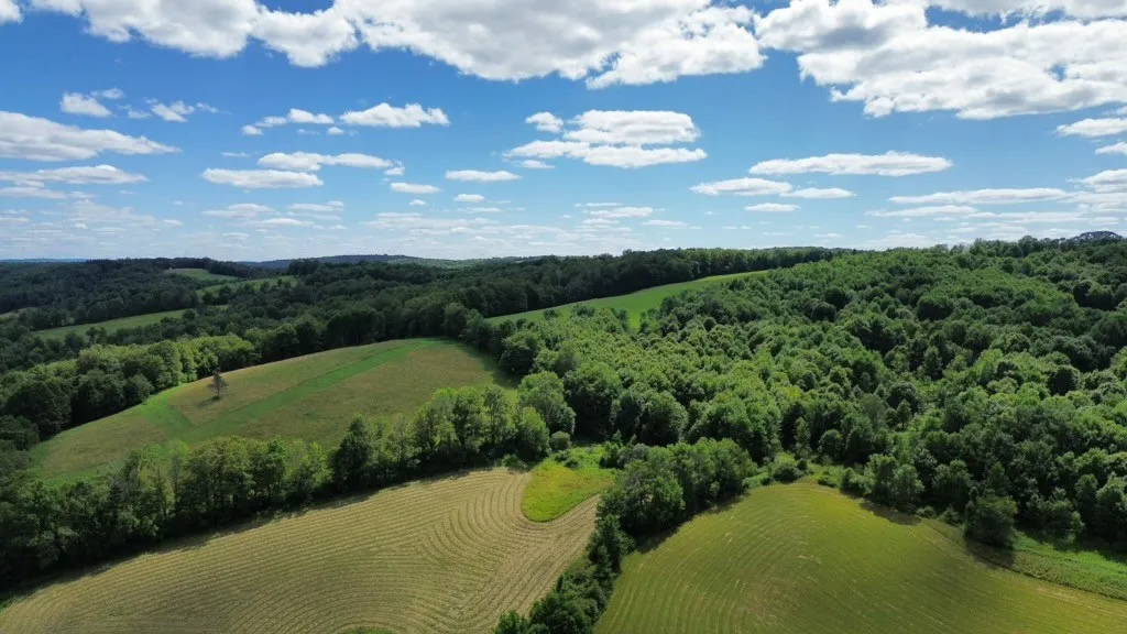 885 County Highway 6, Otego, New York 13825, Otego, New York 13825, 4 Bedrooms Bedrooms, 11 Rooms Rooms,2 BathroomsBathrooms,Residential,For Sale,885 County Highway 6, Otego, New York 13825,R1624054