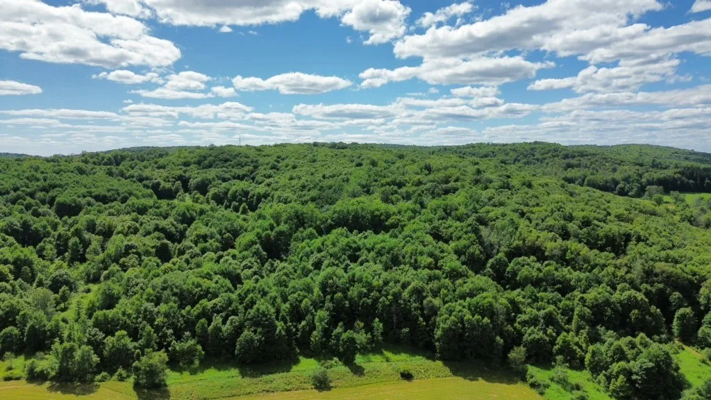 885 County Highway 6, Otego, New York 13825, Otego, New York 13825, 4 Bedrooms Bedrooms, 11 Rooms Rooms,2 BathroomsBathrooms,Residential,For Sale,885 County Highway 6, Otego, New York 13825,R1624054