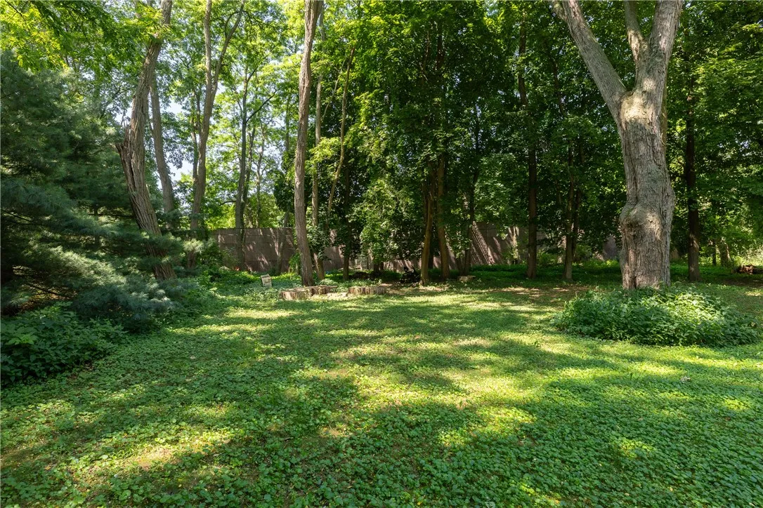 Incredibly private treed backyard