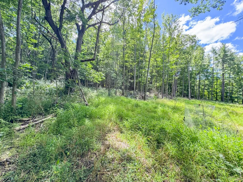8312 Wesley Road, Richmond, New York 14471, Richmond, New York 14471, ,Land,For Sale,8312 Wesley Road, Richmond, New York 14471,R1625137