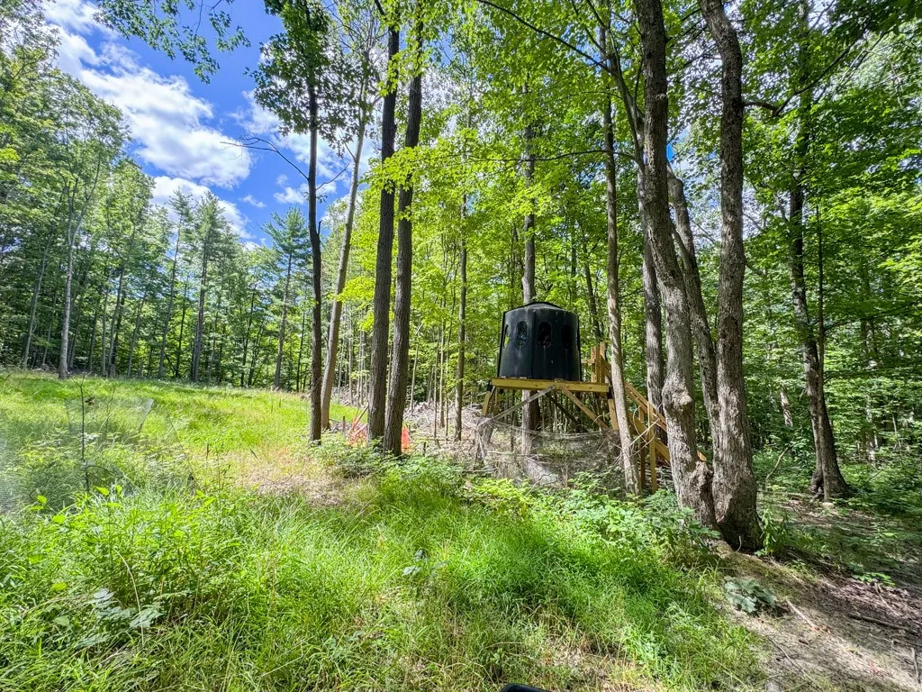 8312 Wesley Road, Richmond, New York 14471, Richmond, New York 14471, ,Land,For Sale,8312 Wesley Road, Richmond, New York 14471,R1625137