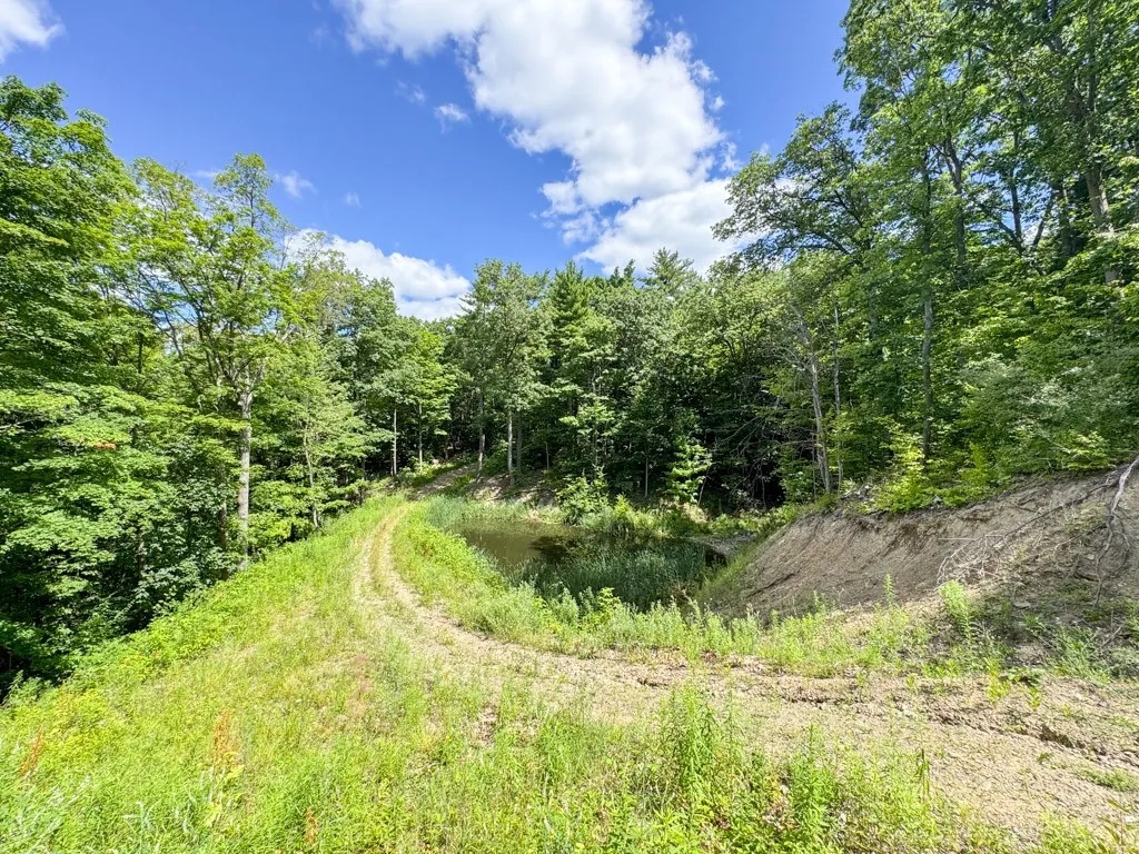 8312 Wesley Road, Richmond, New York 14471, Richmond, New York 14471, ,Land,For Sale,8312 Wesley Road, Richmond, New York 14471,R1625137