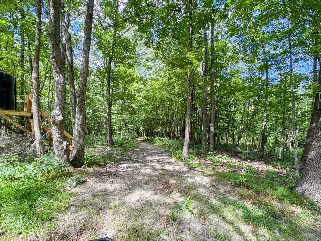 8312 Wesley Road, Richmond, New York 14471, Richmond, New York 14471, ,Land,For Sale,8312 Wesley Road, Richmond, New York 14471,R1625137