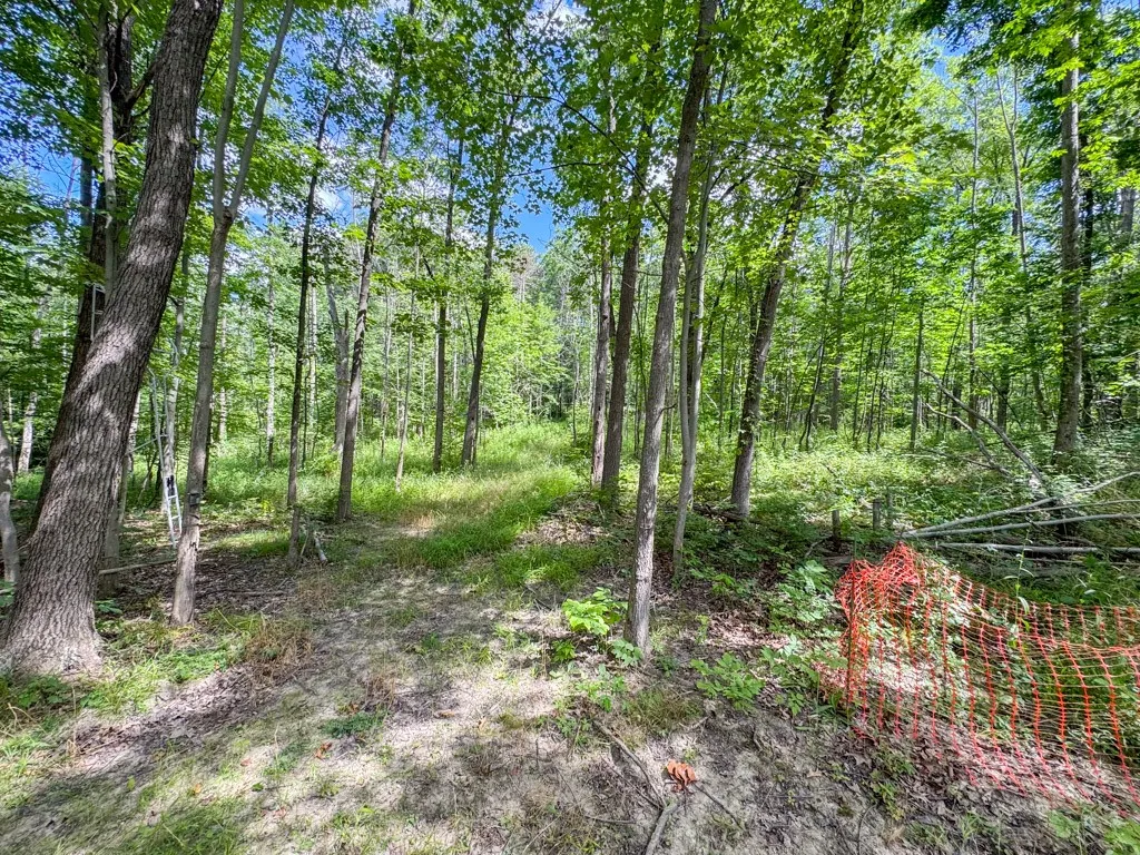 8312 Wesley Road, Richmond, New York 14471, Richmond, New York 14471, ,Land,For Sale,8312 Wesley Road, Richmond, New York 14471,R1625137
