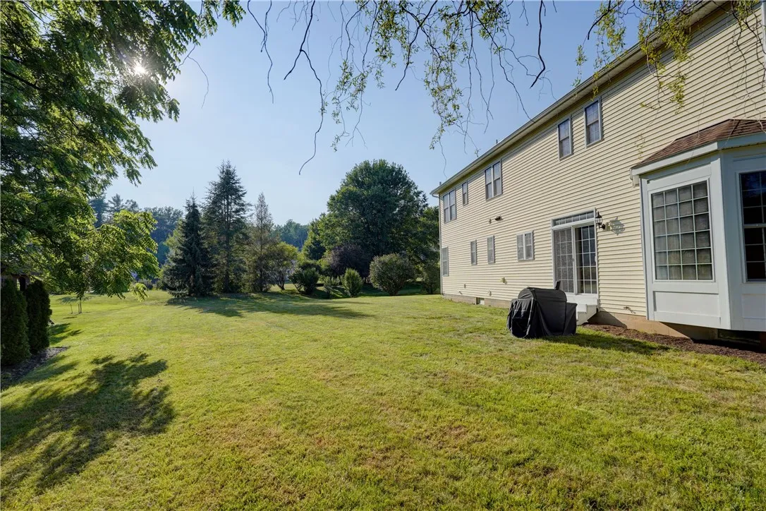 Backyard offers, sun, shade and fun!