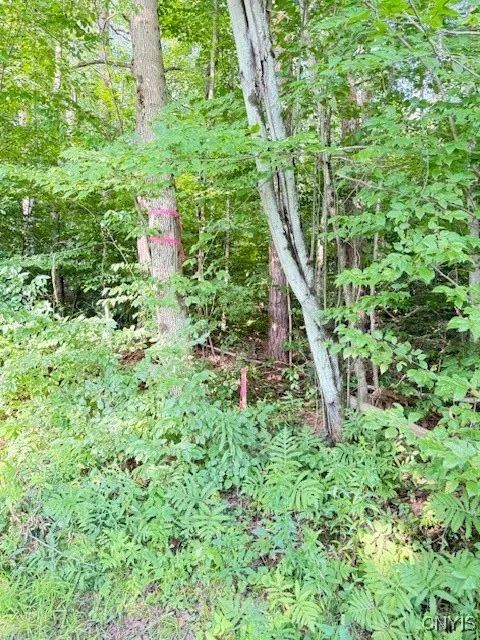 Ribbons from property surveyed to the left