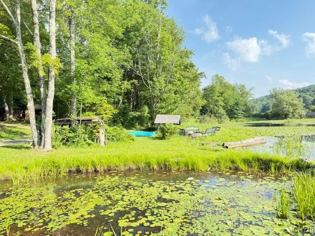 2936 Center Road, Freetown, New York 13040, Freetown, New York 13040, ,Land,For Sale,2936 Center Road, Freetown, New York 13040,S1625305