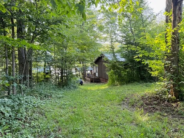 Looking back at cabin behind house.