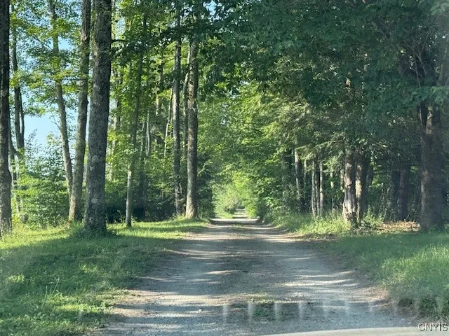 Looking farther down the ROA road to left of property
